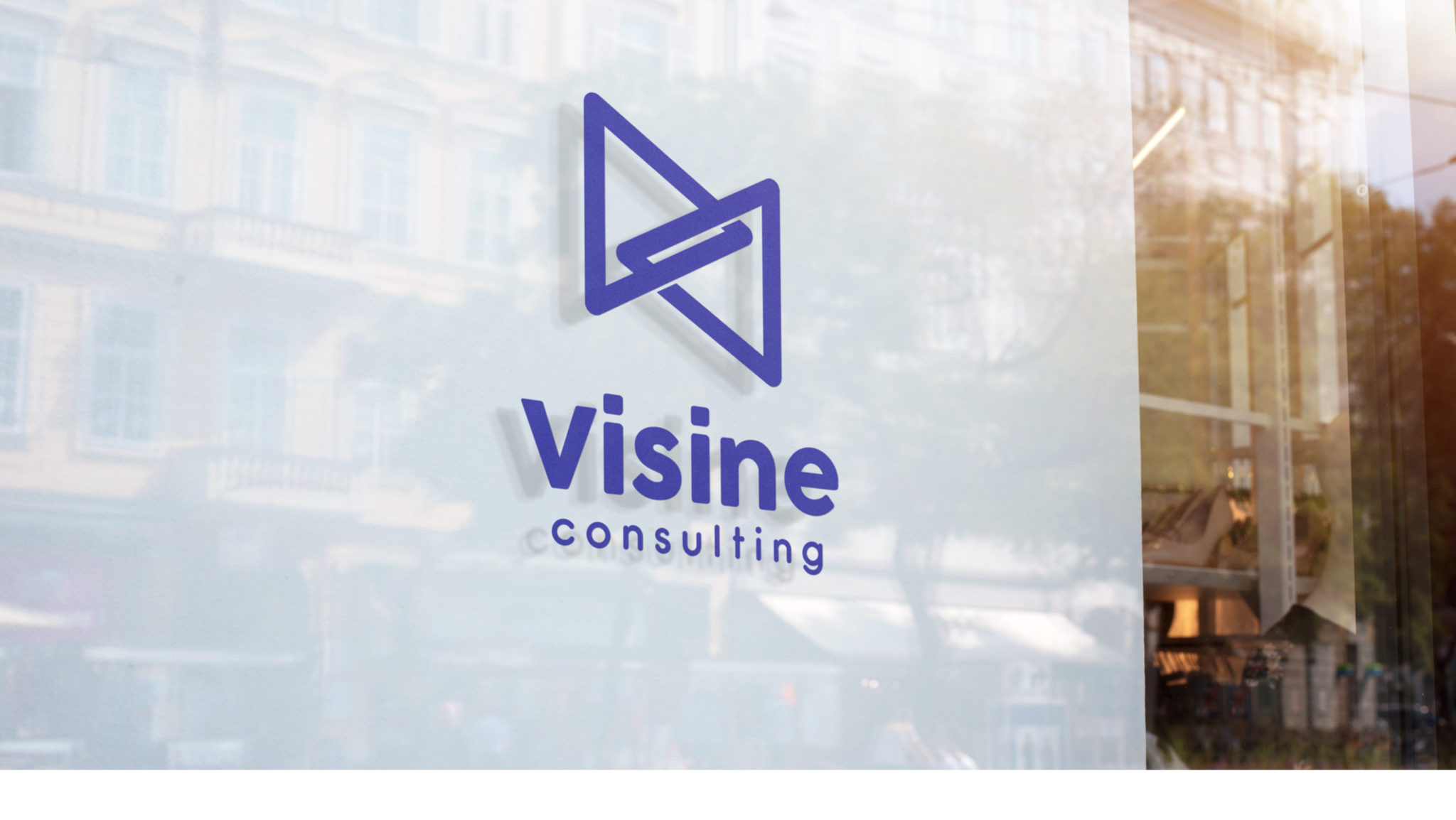 logo Visine