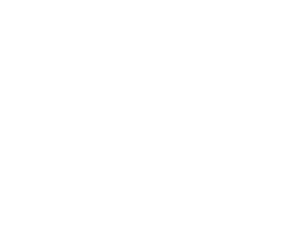 partner-logo