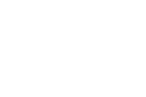 partner-logo