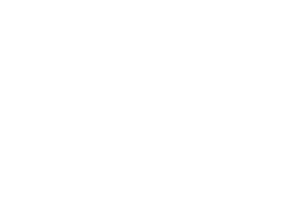 partner-logo