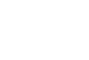 partner-logo