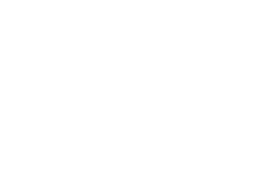 partner-logo