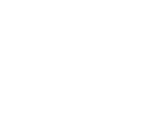partner-logo