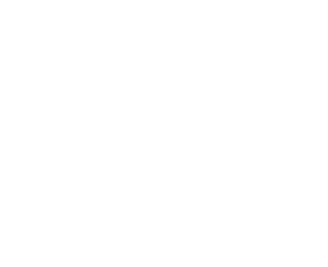 partner-logo