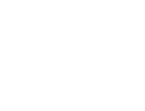 partner-logo