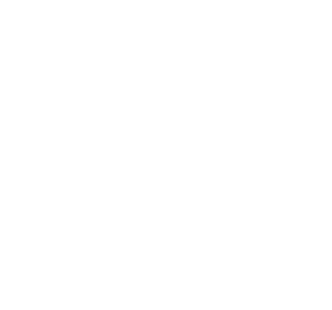 partner-logo