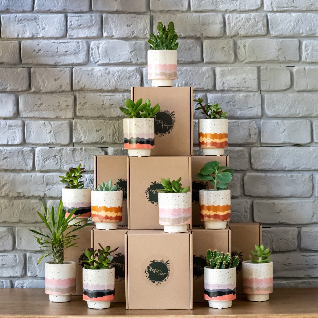 Packaging plante